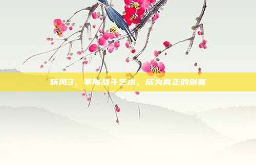 斩风3，掌握战斗艺术，成为真正的剑客
