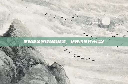 掌握流星蝴蝶剑的精髓，枪连招技巧大揭秘