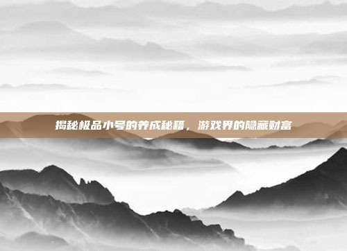揭秘极品小号的养成秘籍，游戏界的隐藏财富