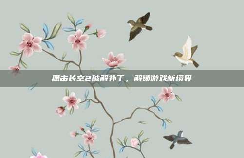 鹰击长空2破解补丁，解锁游戏新境界