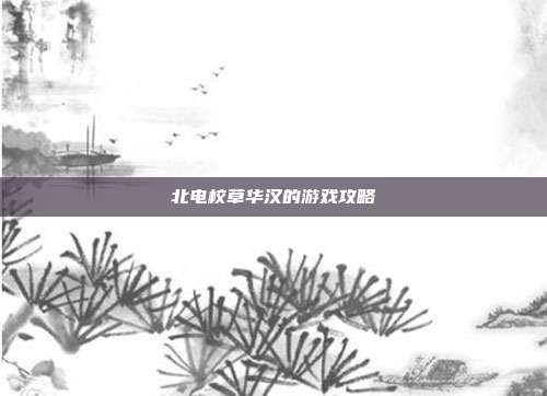 北电校草华汉的游戏攻略