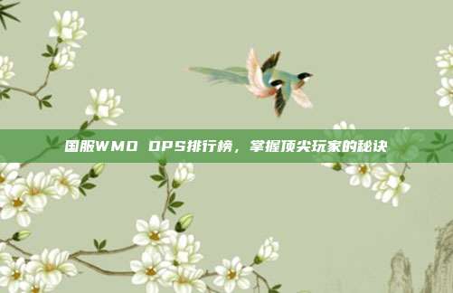 国服WMO DPS排行榜，掌握顶尖玩家的秘诀
