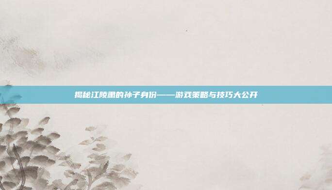 揭秘江陵肃的孙子身份——游戏策略与技巧大公开