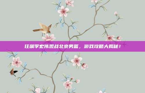 狂飙李宏伟观战北京男篮，游戏攻略大揭秘！