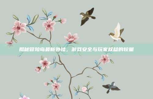 揭秘冒险岛最新外挂，游戏安全与玩家权益的较量