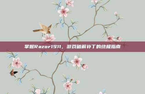 掌握Razor1911，游戏破解补丁的终极指南