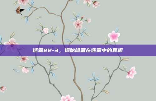迷雾22-3，揭秘隐藏在迷雾中的真相