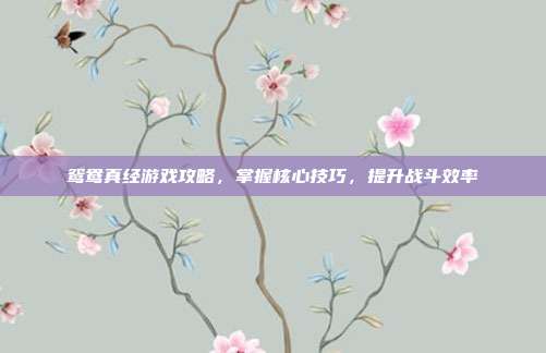 鸳鸯真经游戏攻略,掌握核心技巧,提升战斗效率
