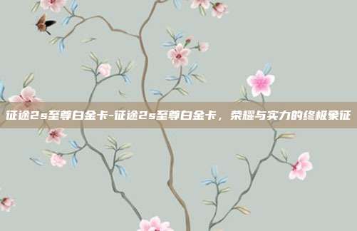 征途2s至尊白金卡-征途2s至尊白金卡，荣耀与实力的终极象征