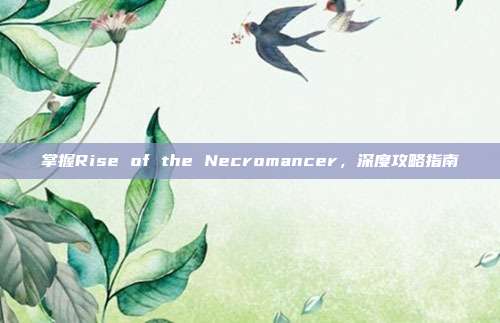 掌握Rise of the Necromancer，深度攻略指南