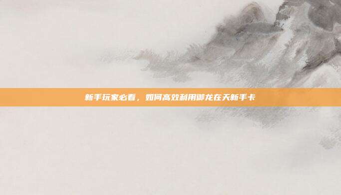 新手玩家必看,如何高效利用御龙在天新手卡