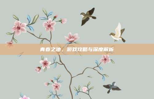 青春之池，游戏攻略与深度解析