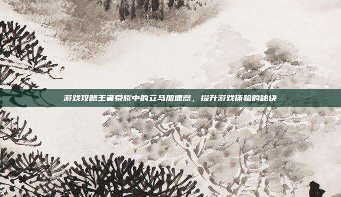 游戏攻略王者荣耀中的立马加速器，提升游戏体验的秘诀