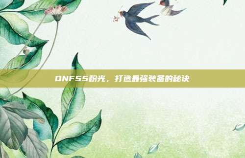 DNF55粉光，打造最强装备的秘诀
