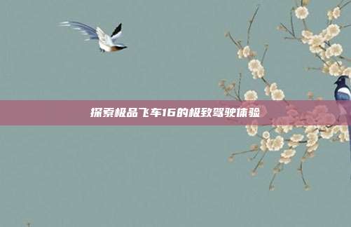 探索极品飞车16的极致驾驶体验