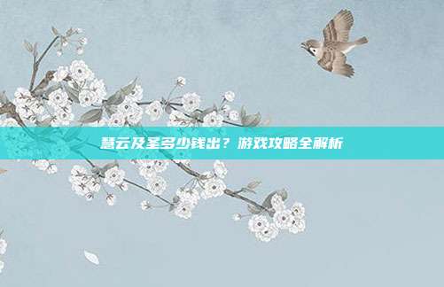 慧云及圣多少钱出?游戏攻略全解析
