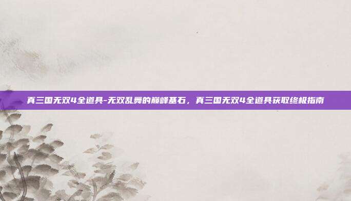真三国无双4全道具-无双乱舞的巅峰基石，真三国无双4全道具获取终极指南