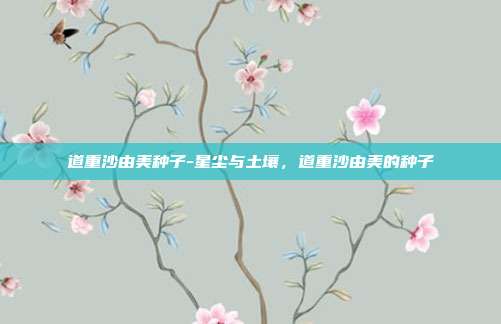 道重沙由美种子-星尘与土壤，道重沙由美的种子
