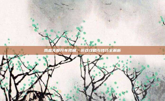 热血无赖开车视角，游戏攻略与技巧全解析