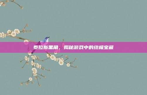 泰拉斯黑角,揭秘游戏中的终极宝藏