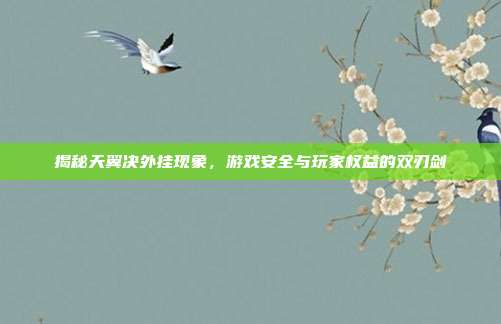 揭秘天翼决外挂现象,游戏安全与玩家权益的双刃剑