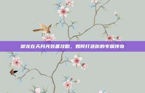 御龙在天月光装备攻略,如何打造你的专属传奇