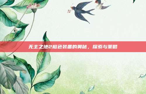 无主之地2橙色装备的奥秘,探索与策略