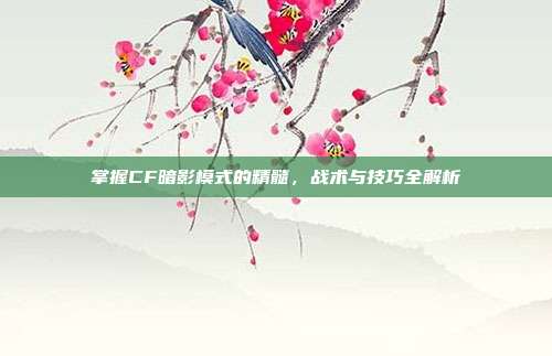 掌握CF暗影模式的精髓,战术与技巧全解析