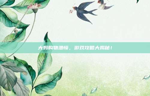 大妈购物泄愤,游戏攻略大揭秘!