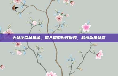 光荣使命单机版,深入探索游戏世界,解锁终极荣耀