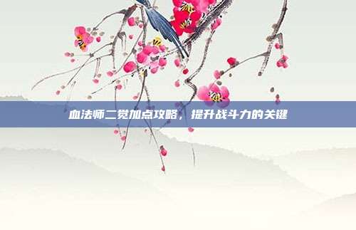 血法师二觉加点攻略,提升战斗力的关键