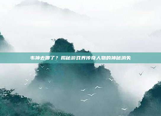 韦神去哪了？揭秘游戏界传奇人物的神秘消失