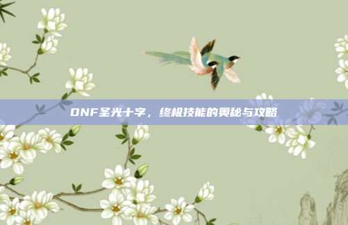DNF圣光十字,终极技能的奥秘与攻略