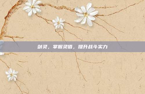 剑灵，掌握灵值，提升战斗实力
