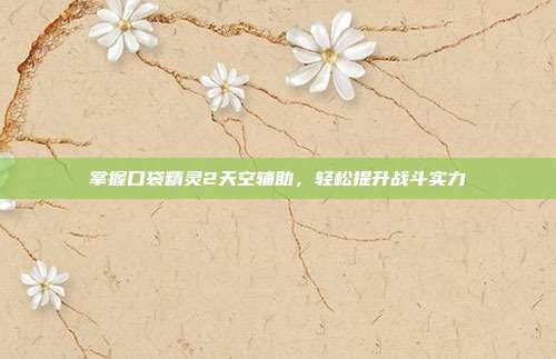 掌握口袋精灵2天空辅助,轻松提升战斗实力