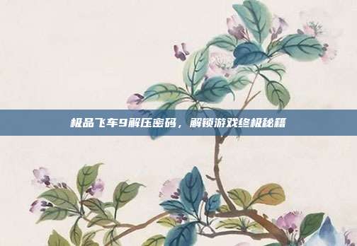 极品飞车9解压密码,解锁游戏终极秘籍