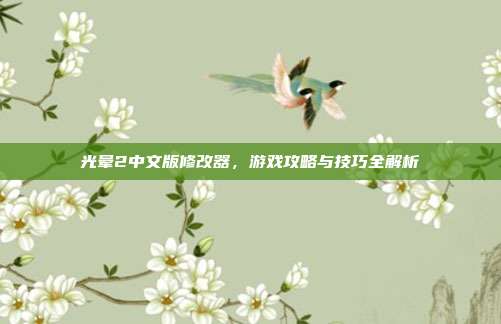 光晕2中文版修改器,游戏攻略与技巧全解析
