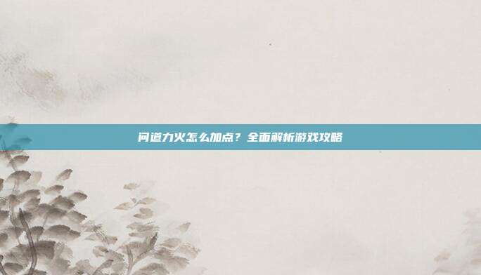 问道力火怎么加点?全面解析游戏攻略