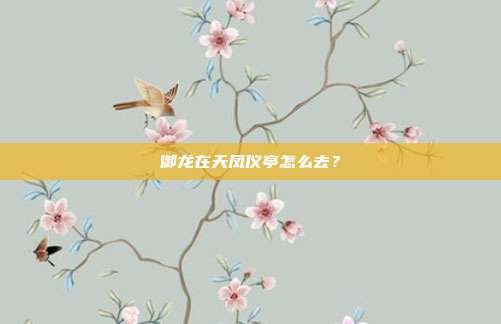 御龙在天凤仪亭怎么去?