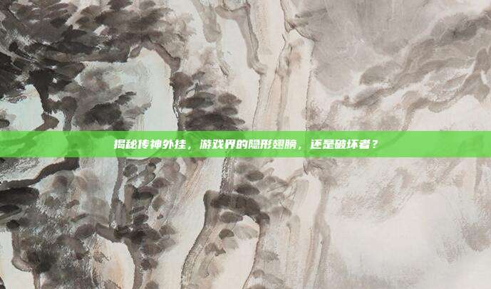 揭秘传神外挂，游戏界的隐形翅膀，还是破坏者？