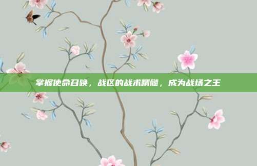 掌握使命召唤,战区的战术精髓,成为战场之王