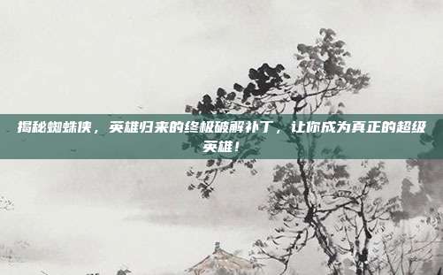 揭秘蜘蛛侠,英雄归来的终极破解补丁,让你成为真正的超级英雄!
