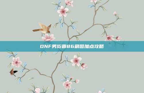 DNF男街霸86刷图加点攻略