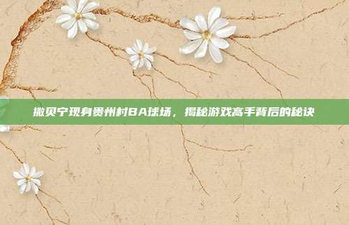 撒贝宁现身贵州村BA球场,揭秘游戏高手背后的秘诀
