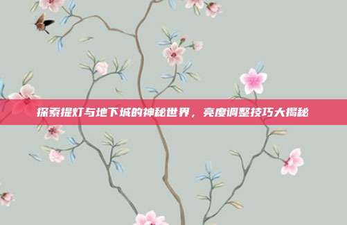 探索提灯与地下城的神秘世界,亮度调整技巧大揭秘