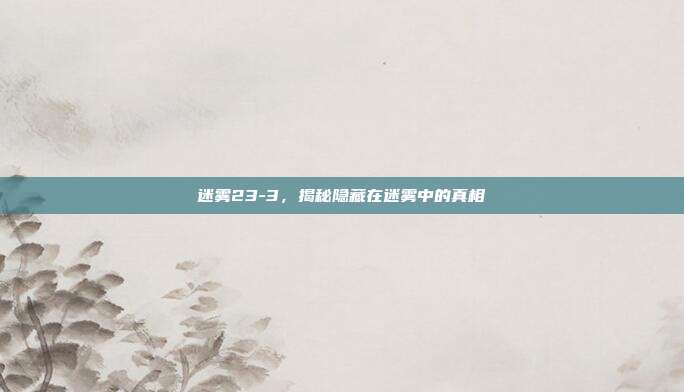 迷雾23-3，揭秘隐藏在迷雾中的真相