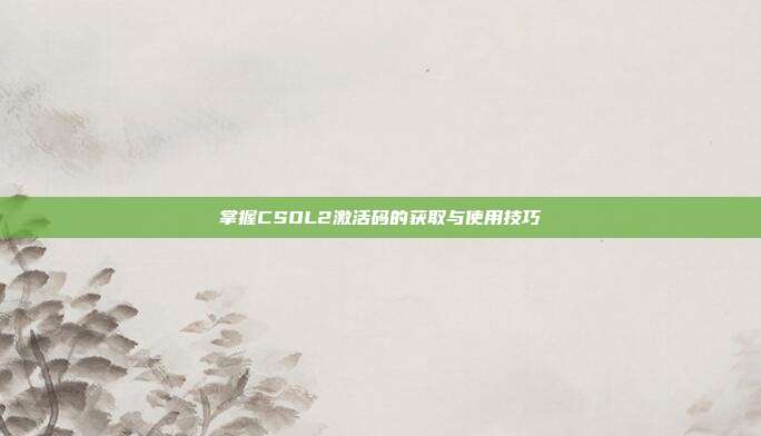 掌握CSOL2激活码的获取与使用技巧