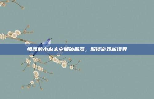 愤怒的小鸟太空版破解器,解锁游戏新境界