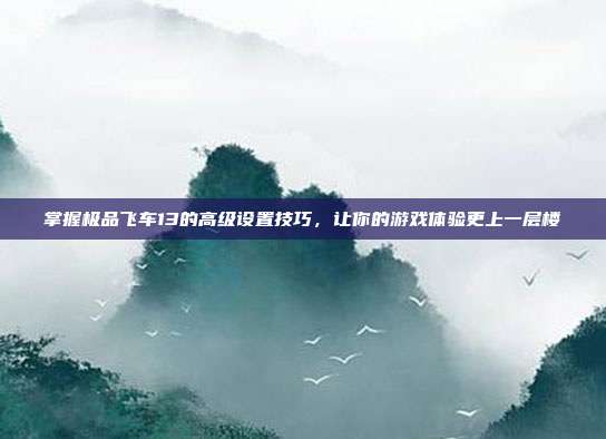 掌握极品飞车13的高级设置技巧,让你的游戏体验更上一层楼