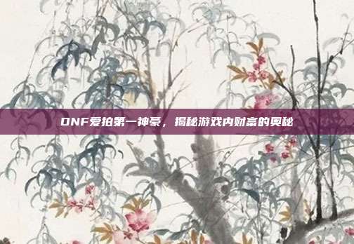 DNF爱拍第一神豪,揭秘游戏内财富的奥秘